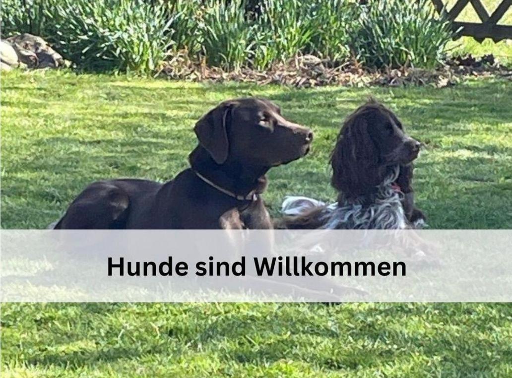 Traberhof - Landurlaub In Seiner Schoensten Form - Freies Reiten Inbegriffen - Hunde Willkommen - Sauna Im Haus - Kanuverleih - Tolle Radwege - Deich In Sichtweite Schillig