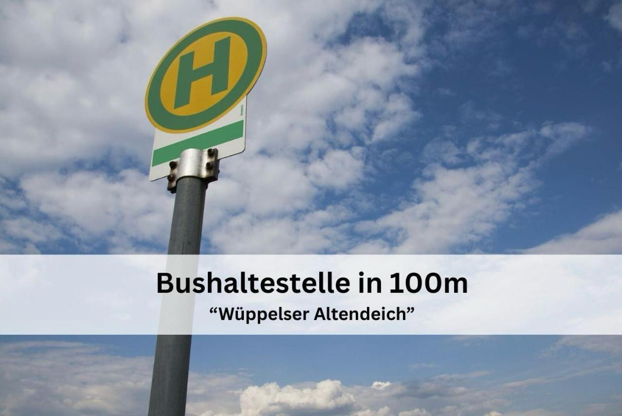 Traberhof - Landurlaub In Seiner Schoensten Form - Freies Reiten Inbegriffen - Hunde Willkommen - Sauna Im Haus - Kanuverleih - Tolle Radwege - Deich In Sichtweite * Schillig